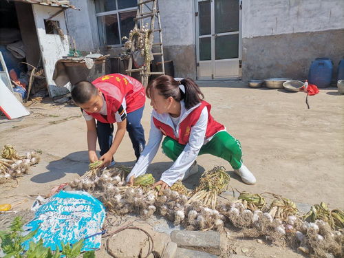 東營市新時代文明實踐志愿服務網 數字化平臺賦能志愿服務新篇章
