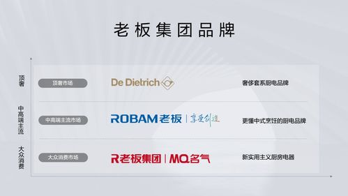 衡水新聞網 打造高效便捷的網絡服務新體驗